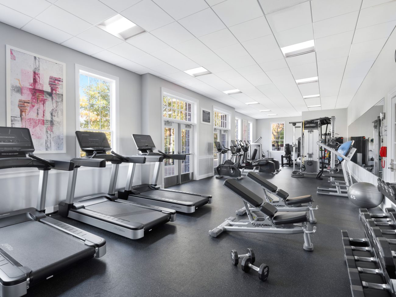 Fitness Center - Cardio Equipment